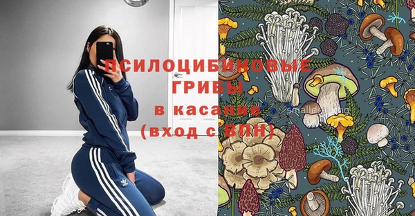 хмурый Белокуриха