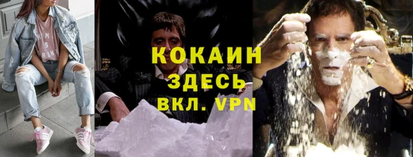 хмурый Белокуриха